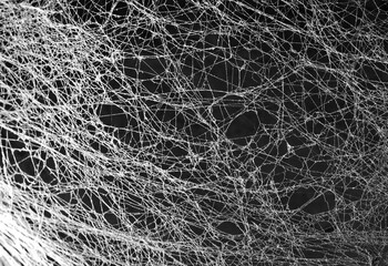 Abstract Spiderweb on black background. Beautiful nature textured background. Halloween creepy cobweb spiders web. 