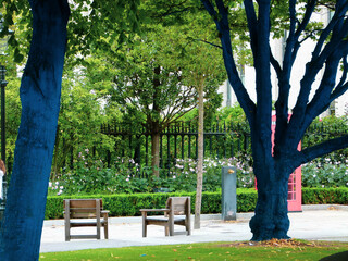 Obraz premium blue trees in central London