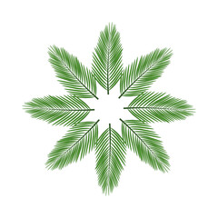 tropical leafs palms summer icon
