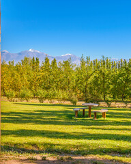 Countryside Landscape Scene, San Juan Province, Argentina