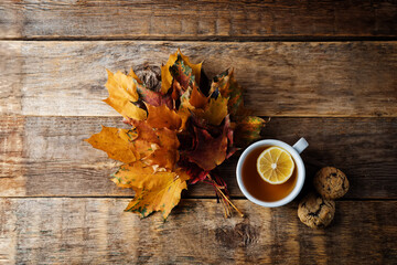 Autumn wood background with orange maple leaves
