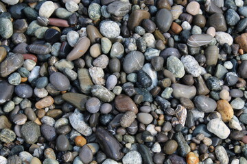 Grey black white brown pebbles stones on the beach background