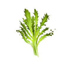 Digital art Frisee, Curly endive, Chicory frisee or crispum isolated on white background. Organic healthy food. Green vegetable. Handdrawn plant closeup. Clip art illustration. Graphic design element