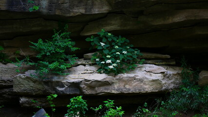 Life in Unexpected Places