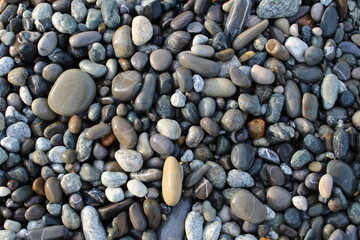Grey black white brown pebbles stones on the beach background