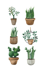 Watercolor set of home plants in a pot in a Scandinavian style. The elements of the set are stylized, on a white background and will be a great addition to design compositions, illustrations