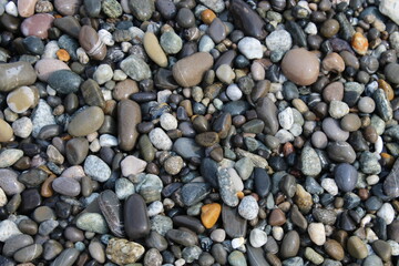 Grey black white brown pebbles stones on the beach background