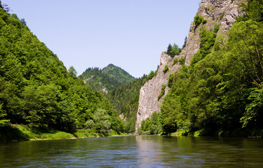 Fototapeta na wymiar The Dunajec river in Poland