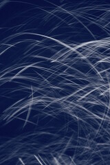 波上の月光
月光の軌跡
満月