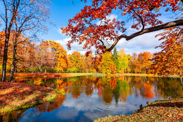 Alexander park in fall, Pushkin (Tsarskoe Selo), Saint Petersburg, Russia