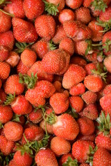 Victoria berries close up