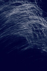 波上の月光
月光の軌跡
満月