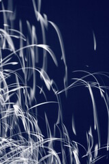 波上の月光
月光の軌跡
満月