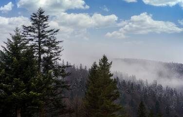 Foggy forest during autumn mood. Fog in the forest, view from above, panorama nature