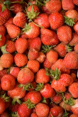 Victoria berries close up