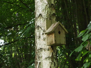 bird house