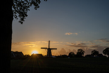Windmill De Bataaf in the evening sun