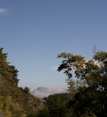 Obraz na płótnie Canvas trees in the mountains