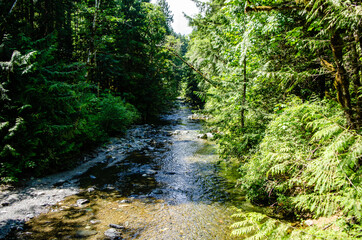 Obraz premium Big Qualicum River The river runs down towards Horne Lake caves