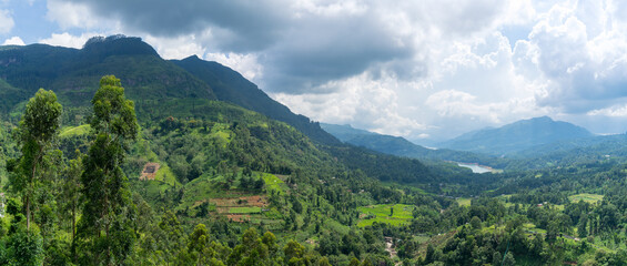 Fototapeta na wymiar Amazing landscape of Sri Lanka. Tea plantation over the mountains. cloudy sky. panoramic format