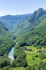 Top view of the mountain river Tara and mountains covered by coniferous forest, the village is located in the gorge, Montenegro, Europe.