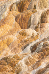 Abstract Patterns and Lahers of Colorful Travertine Springs at Mammoth Hot Springs, Yellowstone National Park
