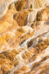 Abstract Patterns and Lahers of Colorful Travertine Springs at Mammoth Hot Springs, Yellowstone National Park
