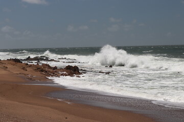Spring on the Emerald Coast, La Balconada beach, La Paloma Municipality, Rocha Department, Uruguay