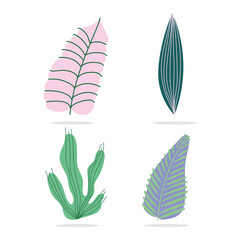 different tropical leaves foliage botancial nature decorative icons isolated design
