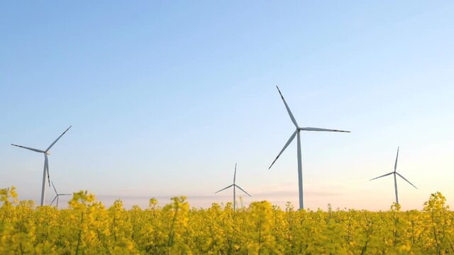 Winmill power energy. Green farm with renewable energy.  