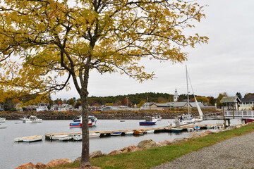 The harbor and marina in Eastport Maine.