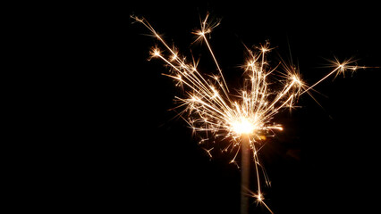 Celebrating Independence Day with sparklers, a 4th of July favorite.