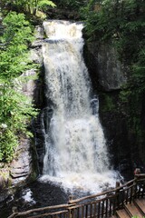 waterfall in the forest