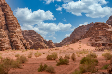 Fototapeta premium Deserted landscape of Wadi Rum in Jordan 