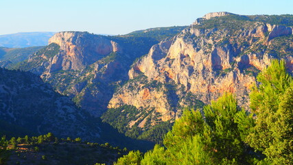 Colorful rugged mountains and pine trees with blue sky background