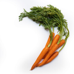 Carrots with green leaves on white background.