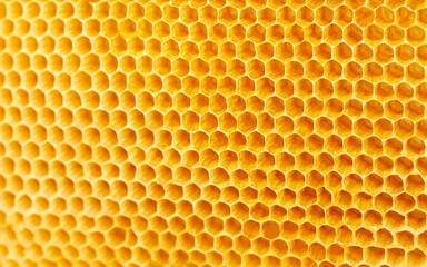Background texture and pattern of wax honeycombs from a bee hive. selective focus.
