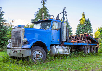 Old retro big rig blue semi truck tractor standing on the meadow with green grass and trees