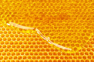 sweet honey flows over bee honeycombs. Macro shot.