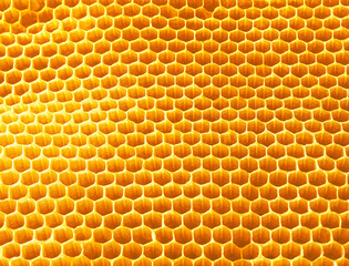 Background texture and pattern of wax honeycomb from a bee hive , top view.