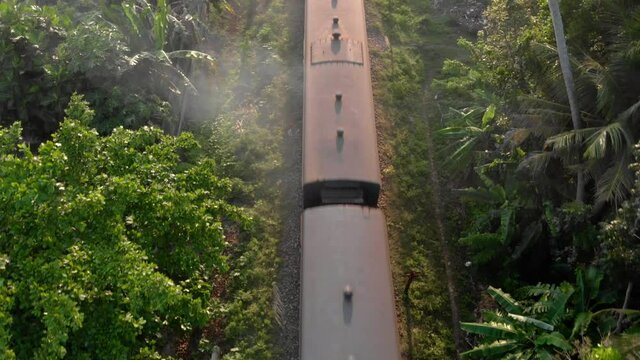 Flying over a train passing in the middle of a mysterious jungle, exotic forest on the south coast of Sri Lanka, 4k.