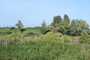 landscape of the Ishim river Bank