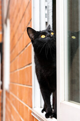 Bella c&oacute;smica