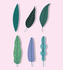 different tropical leaves foliage botancial nature icons