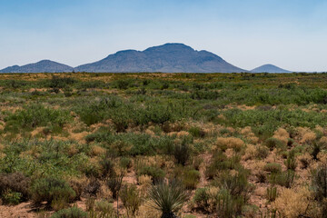 Fototapeta na wymiar The desert view from Separ road, New Mexico.