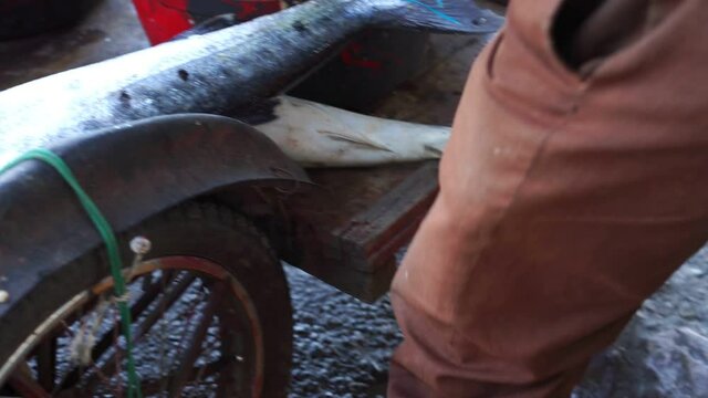 Small Sharks for sale at the Traditional Fish Market