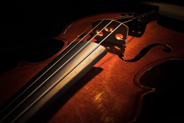 Fototapeta premium Violin 1
