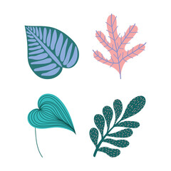 Fototapeta na wymiar different tropical leaves foliage botancial nature icons isolated design