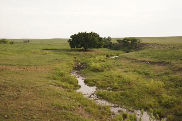 A creek in a pasture in the Kansas countryside.