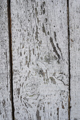 close-up texture , background from old boards, wood texture with peeling white paint
